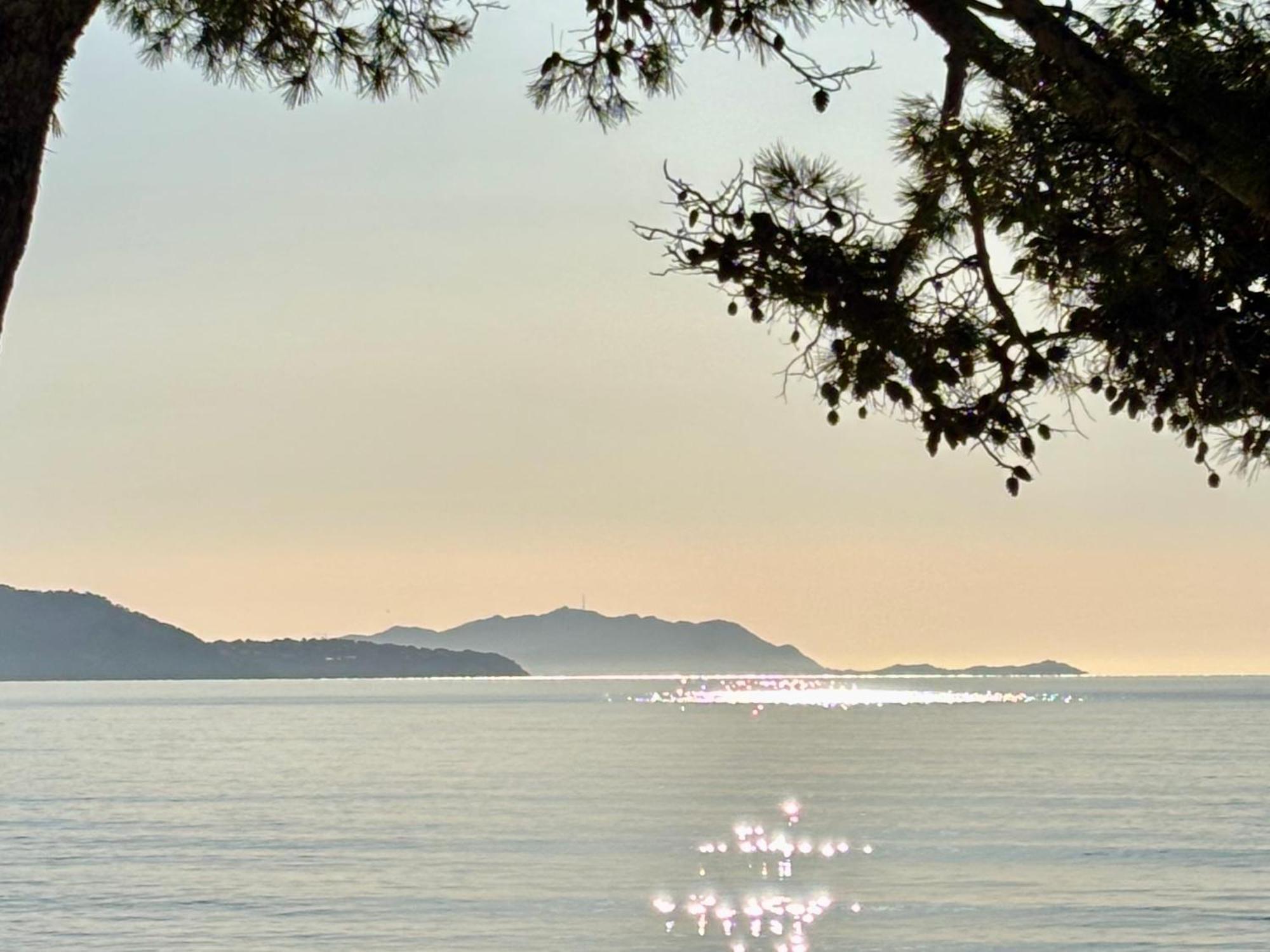 Lavande Centre Ancien Port Plages By Laconciergerie13 La Ciotat Dış mekan fotoğraf